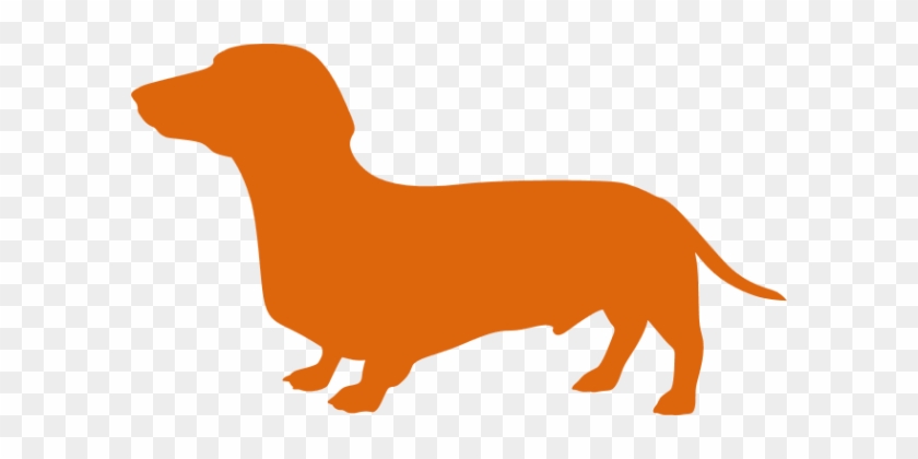 600 X 340 2 - Dachshund #1686367