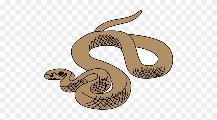 Vector Graphics - Brown Tree Snake Clip Art #1686787