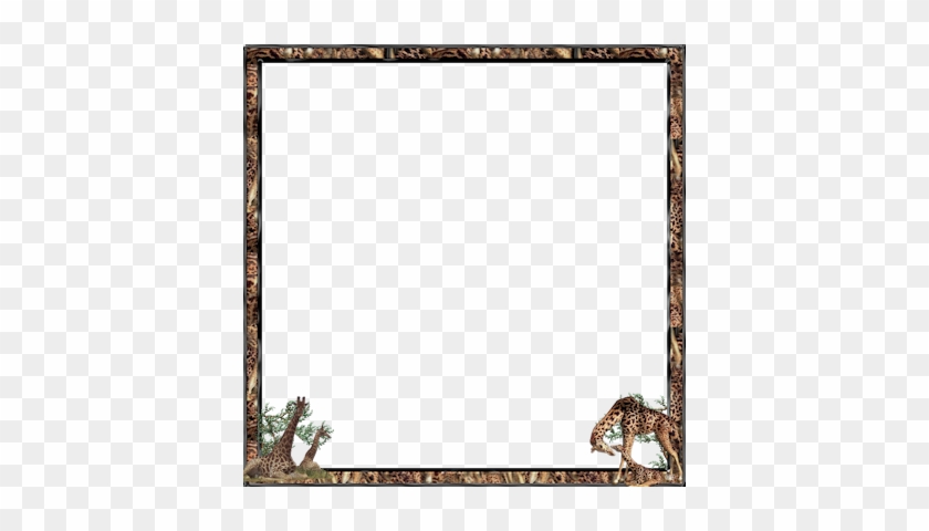 Giraffes - Picture Frame #1686811