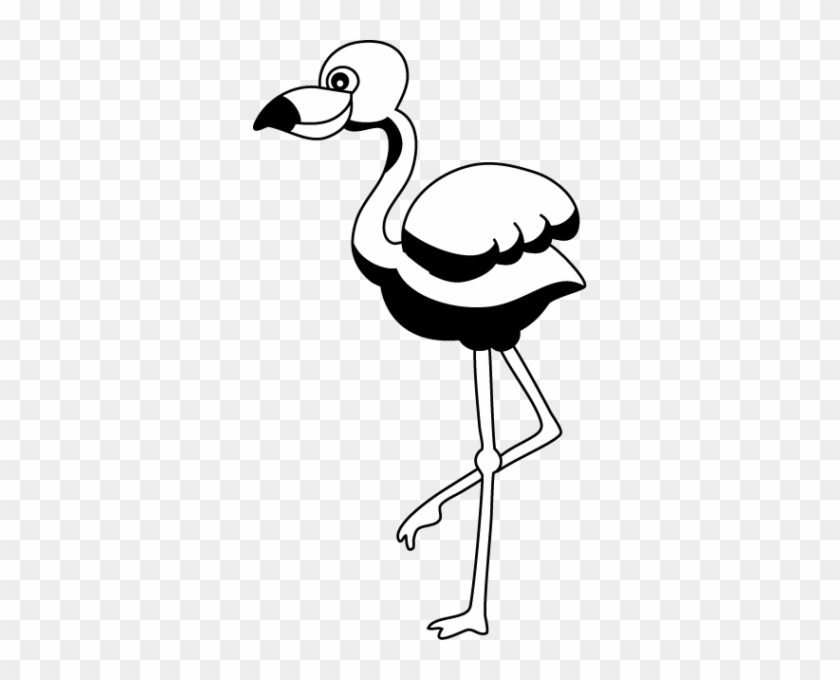 Flamingo Clipart - Flamingo Clipart #1686930