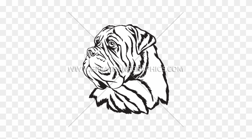 Bullmastiff - Bullmastiff Head Eps #1687037