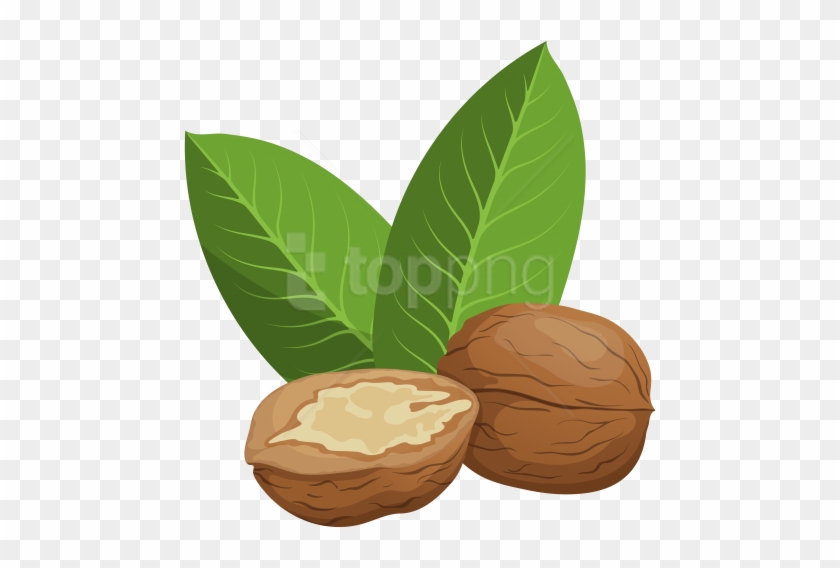 Free Png Download Walnuts Clipart Png Photo Png Images - Walnuts Clipart Png #1687088