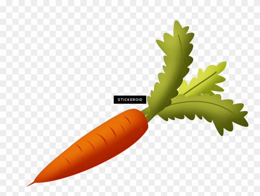Carrot - Carrot Png Clipart #1687368
