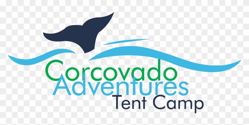 Hello And Welcome - Arc #1687700