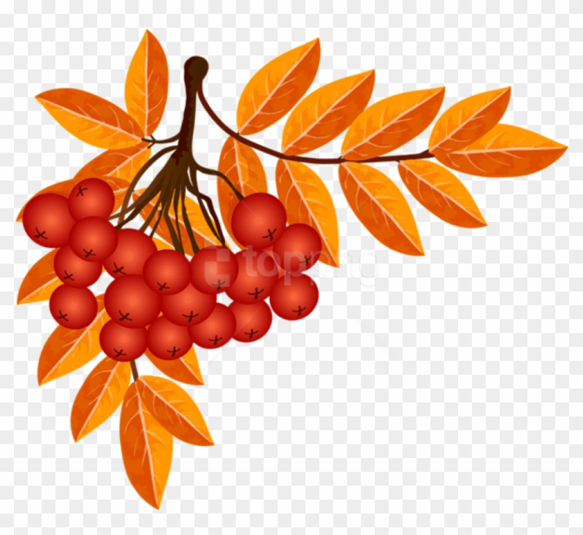 Free Png Download Fall Decoration Clipart Png Photo - Autumn Season Clipart Kindergarten #1687746