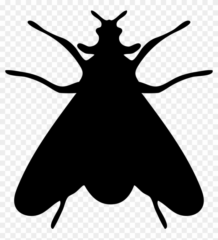 928 X 980 6 - Fly Silhouette Png #1687939