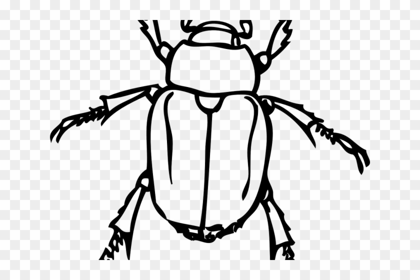 Drawn Bug Japanese Beetle - Beetle Clipart Black And White #1687945
