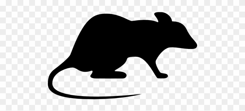 Rodent Exclusion Schedule Rodent Removal With An Experienced - Icon Rat #1687984