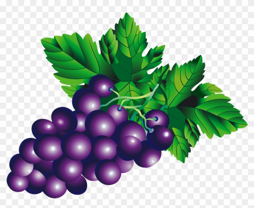 Grape Png Transparent Images - Desenho De Cacho De Uva Colorido #1688029