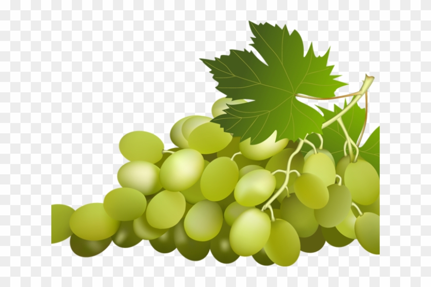 Grapes Clipart Vine Clip Art - Green Grapes Grapes Clipart #1688033