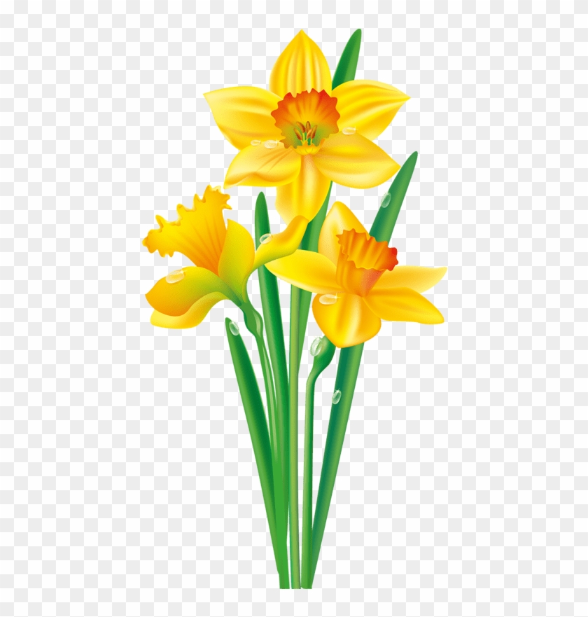 Daffodil Flower Clip Royalty Free Stock Techflourish - Clip Art Daffodil Flower #1688083