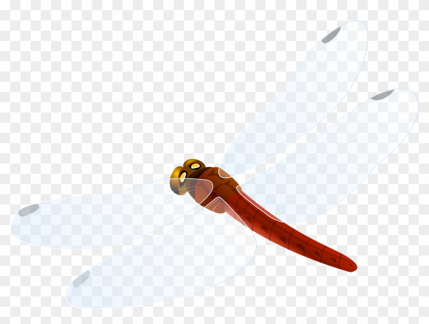 Red Dragonfly Png Clipart - Red Dragonfly Png Clipart #1688210