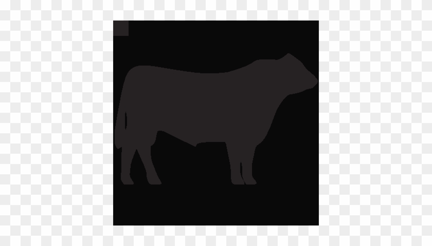 Hereford Cow Silhouette Clipart Clipartfest Hereford - Bull #1688226