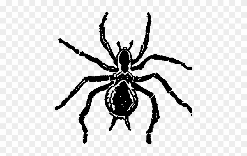 Clip Art Images - Black And White Flying Spider #1688368