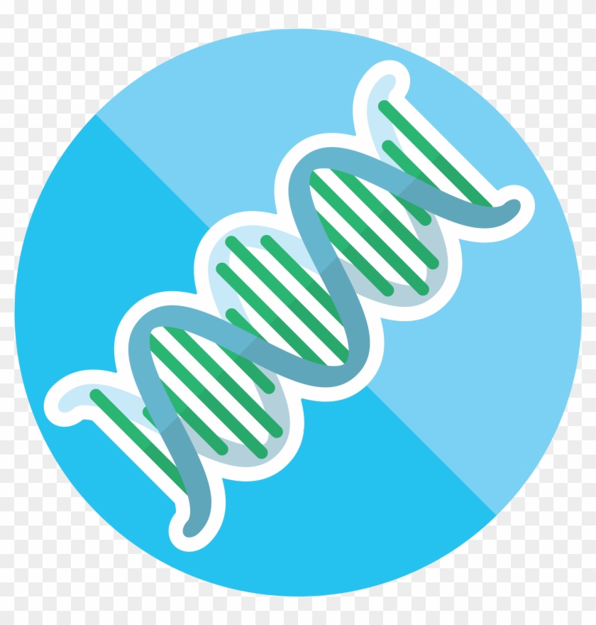 Dna Clipart Genetic Trait - Medical Devices Quality Engineer #1688467