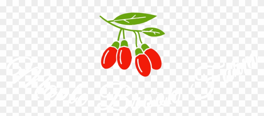 4577 X 2333 3 - Goji Berries Clipart Png #1688721