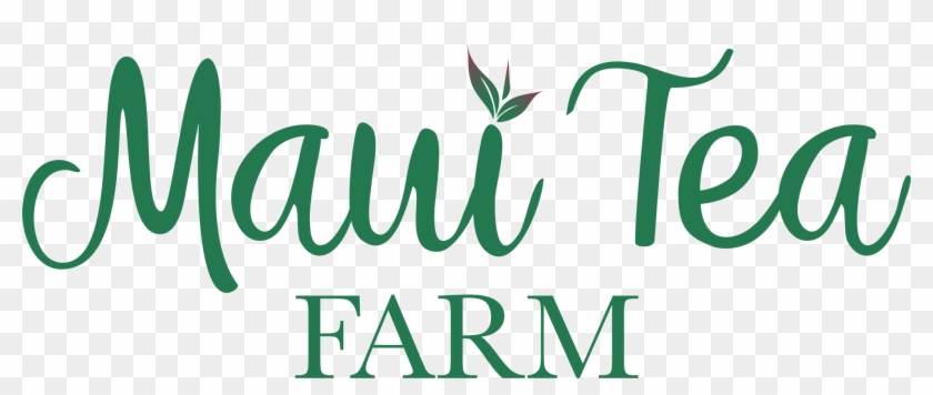 Follow Us - Follow Us #1688722