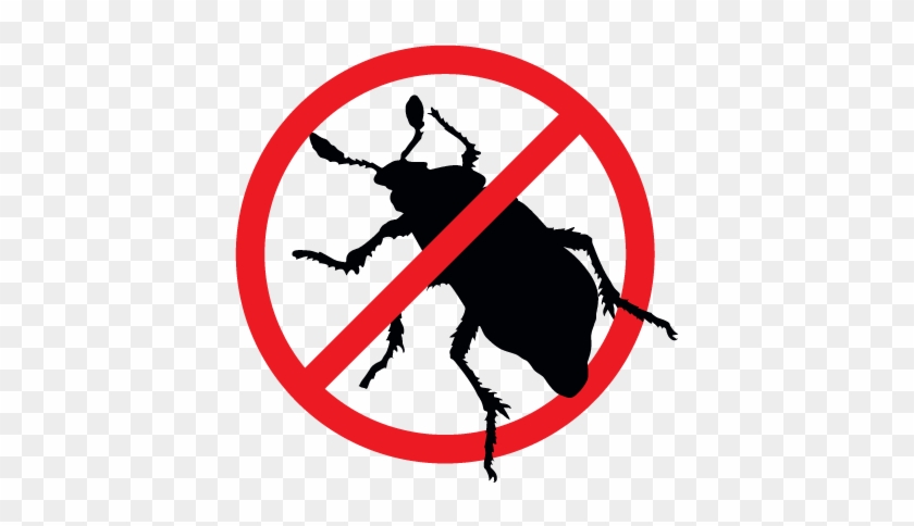 Fleas And Ticks - Pest Clip Art #1688764