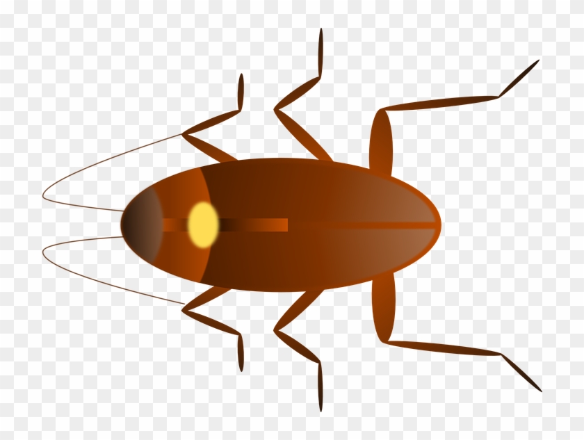 Pest Control Services Manhasset Ny, New York, Long - Predaceous Diving Beetles #1688765