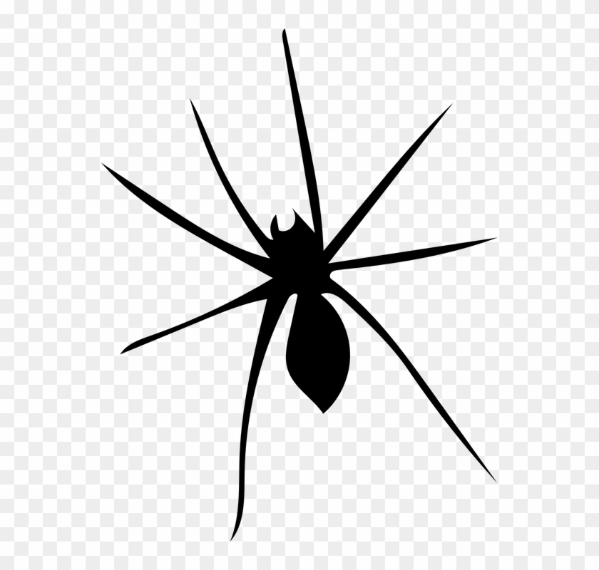 Logo - Widow Spider #1688784