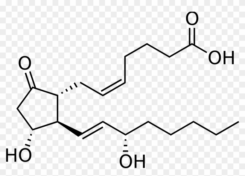 See The Graphic On The Left - Prostaglandine E2 #1688836