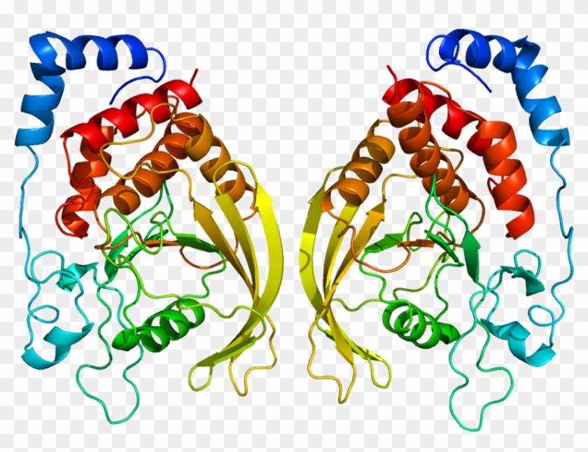 Caveolin Protein Structure #1688974
