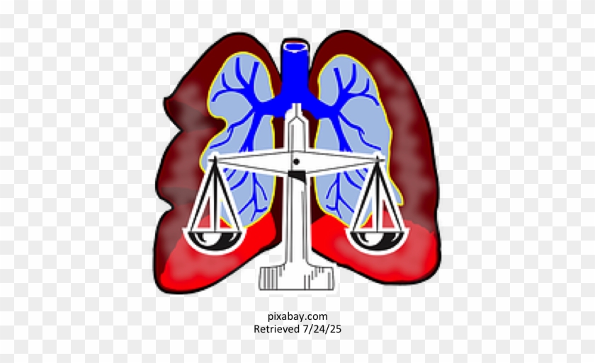 Ac#base Balance - Lungs Clip Art #1688975