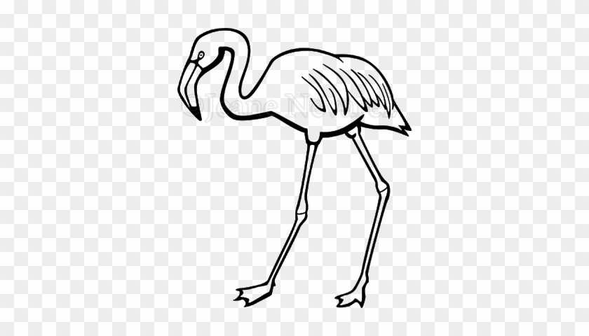 Art By Jeane Nevarez Flamingo - Flamingo Png Black And White #1689129