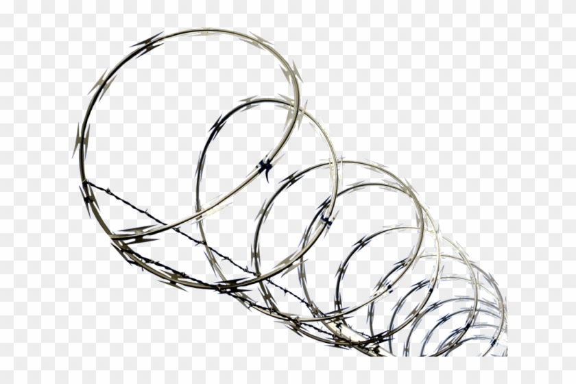 Barbed Wire Clipart Concertina Wire - Concertina Fence Png #1689307