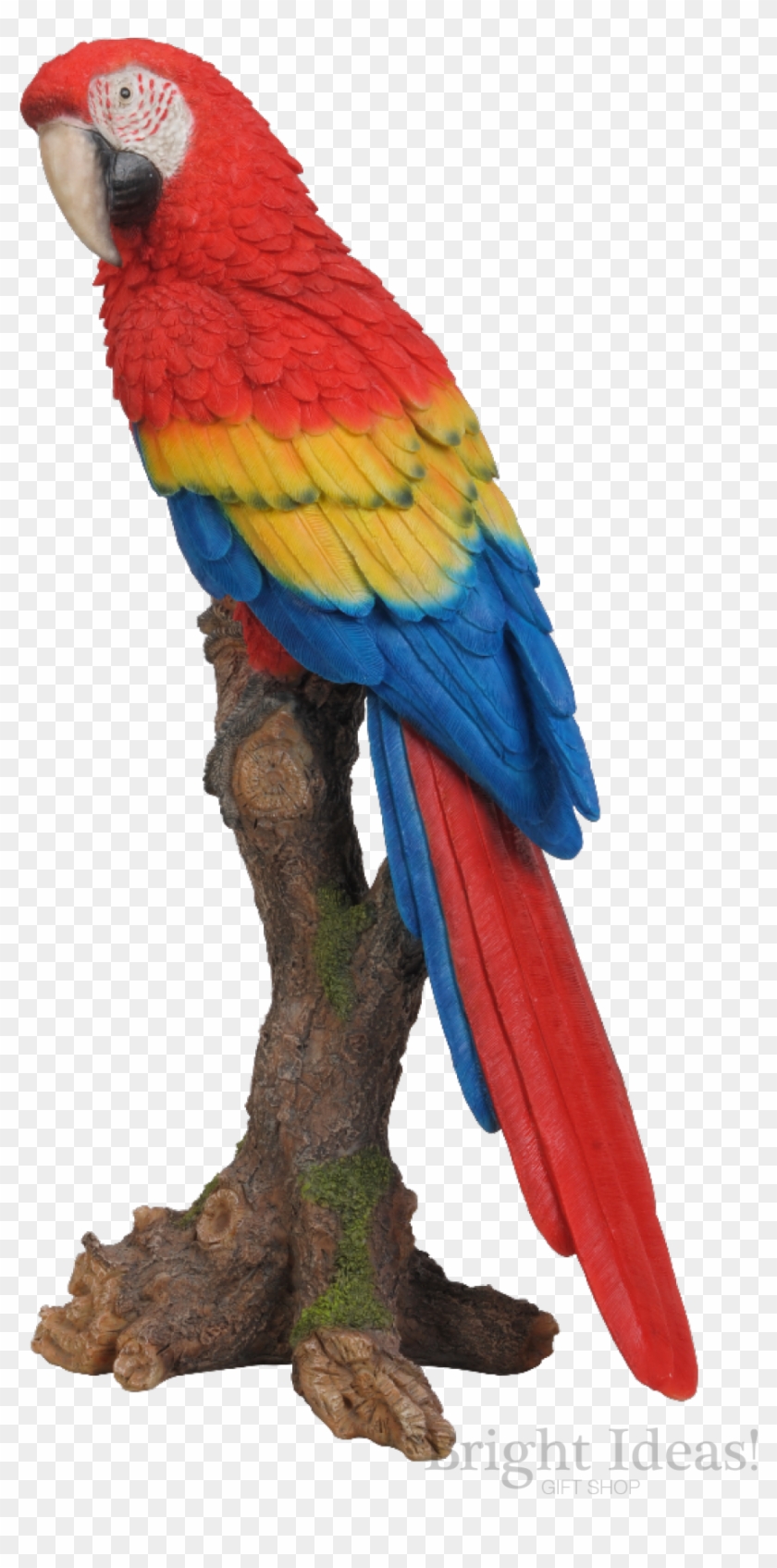 Red Macaw Exotic Bird Vivid Arts Real Life - Red Macaw Exotic Bird Vivid Arts Real Life #1689427