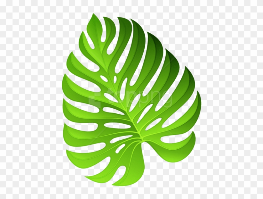 Free Png Download Exotic Green Plant Decoration Clipart - Clip Art #1689428