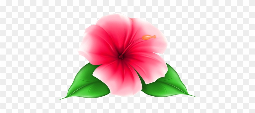 Tropical Clipart Exotic Flower 4 450 X - Tropical Flower Transparent Background #1689429