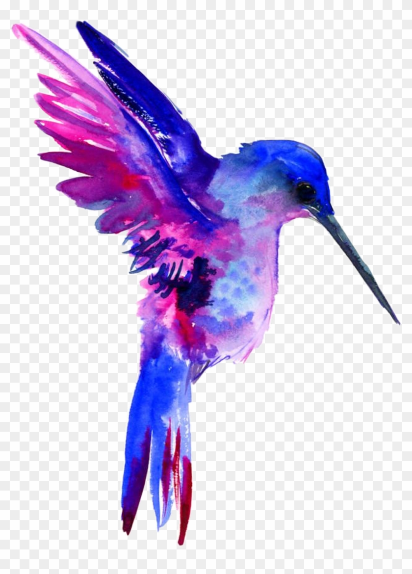 #hummingbird #bird #art #birdart #exotic #freetoedit - Watercolor Blue Hummingbird #1689434