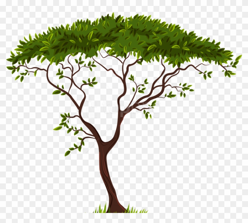 Free Png Download Exotic Tree Clipart Png Photo Png - Transparent Background Trees Clipart #1689435