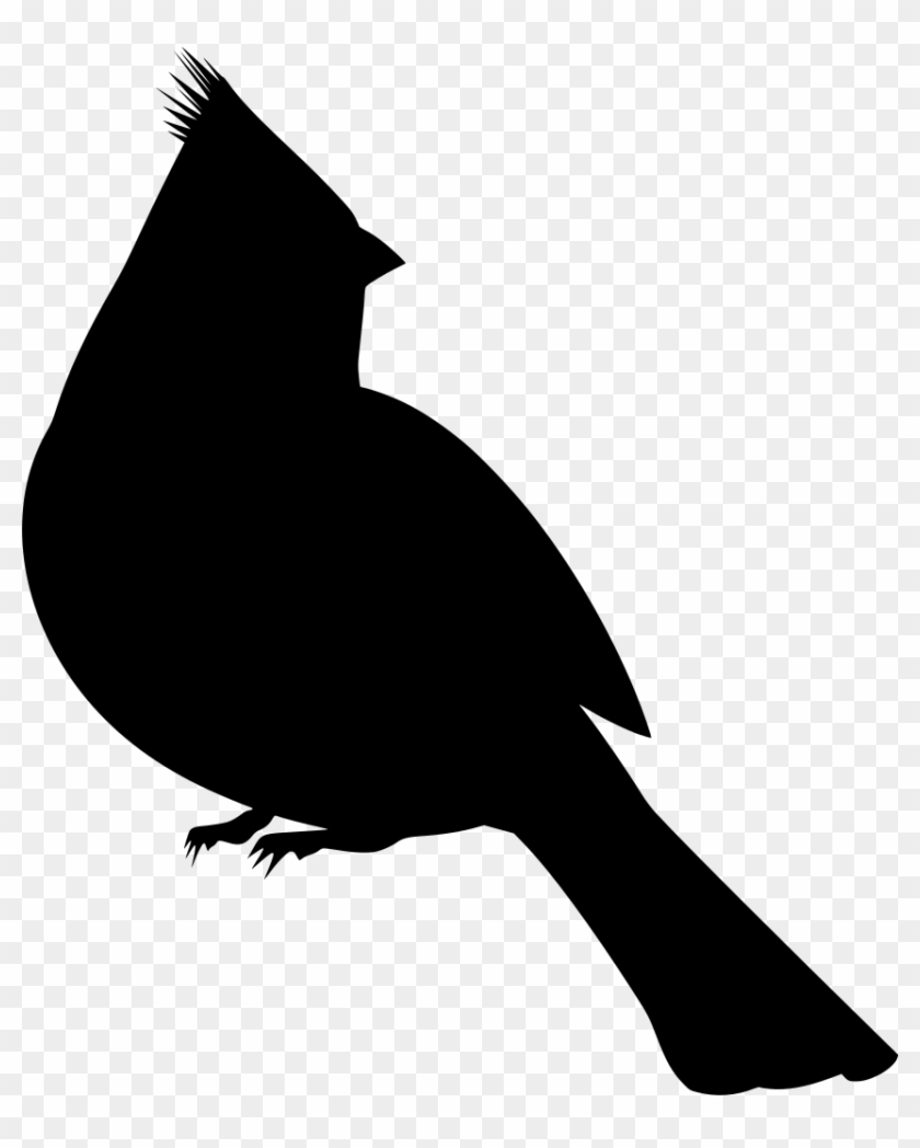 Info - Birds Clipart Transparent Background #1689441