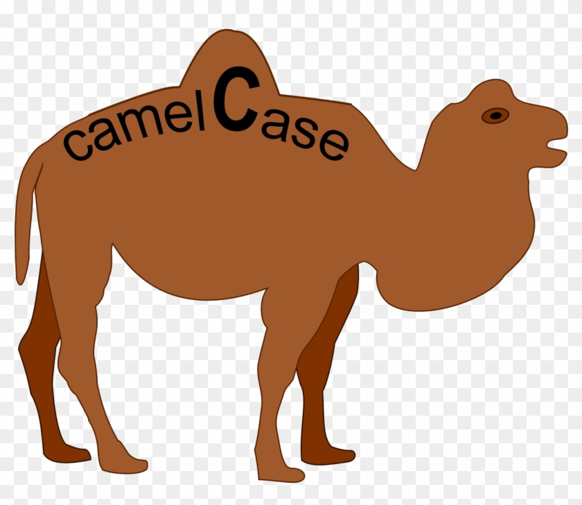 Camel Casing #1689601