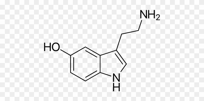 16-20 Ocd Facts - Serotonin Transparent #1689732