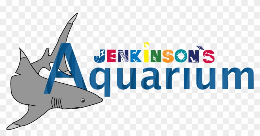Aquarium Point Pleasant Beach Nj Avenue Ⓒ - Jenkinsons Aquarium #1689955