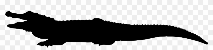 Silhouette Clipart Alligator - Silueta Cocodrilo #1690644