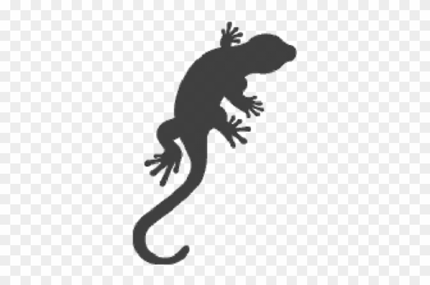 Gecko Lizard - Lizard Silhouette #1690650