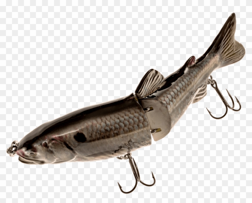 Bass Fishing Lure Clip Art - Bait Fish #1690758