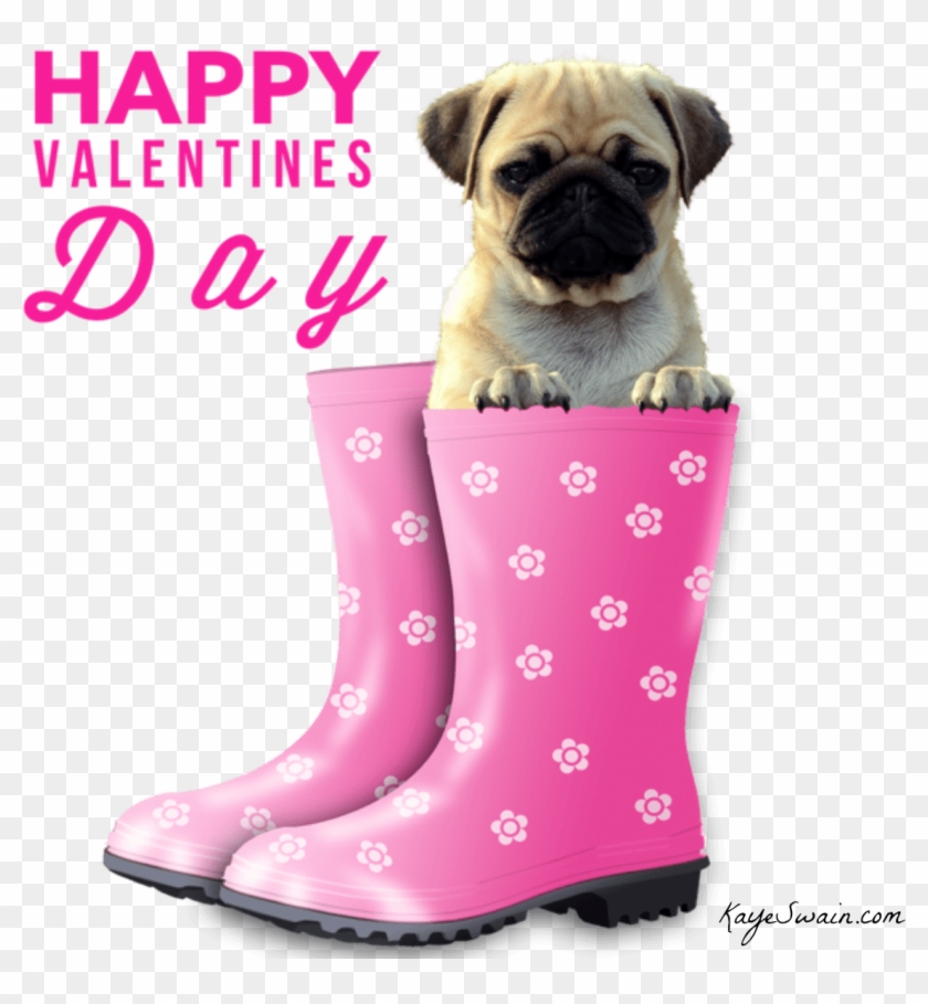 Happy Valentines Day Dog Pictures - Too Cute Baby Pug #1690778