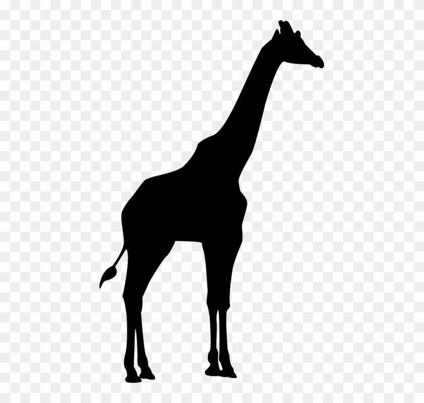 Wilderness Clipart Black Animal - Giraffe Silhouette Png #1691213