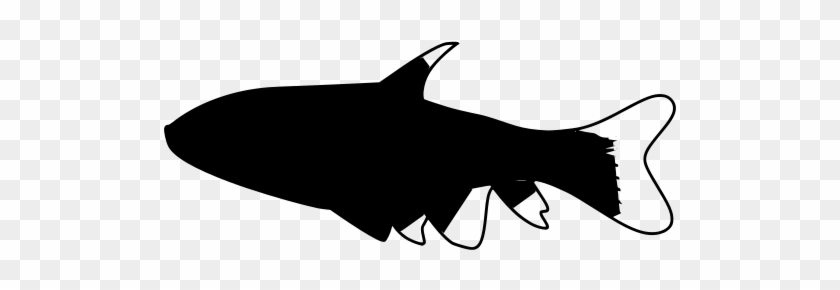 Svg Png - Shark #1691303