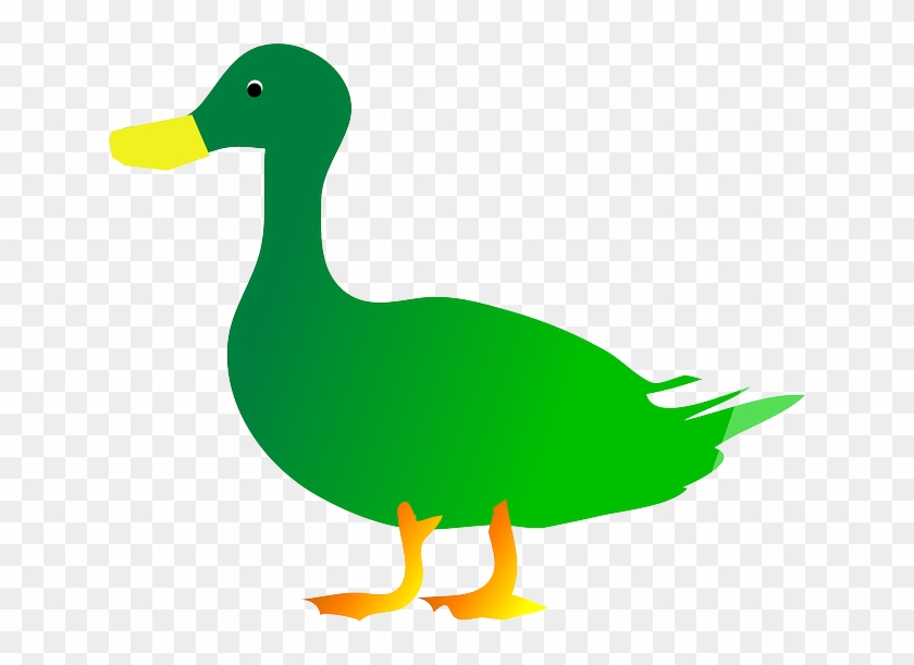 Divá Kačka - Green Duck Clipart #1691341