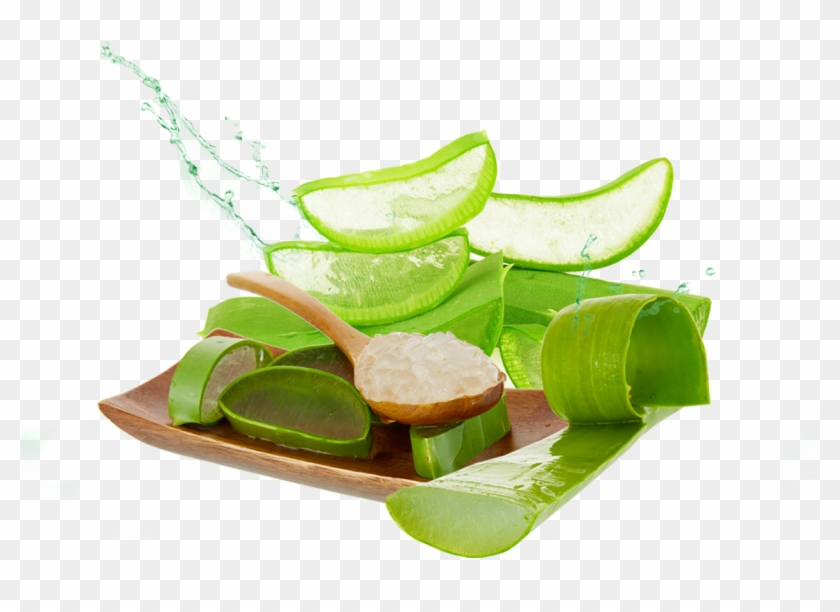 Download Aloe Png Photos - Aloe Vera Gel Png #1692032