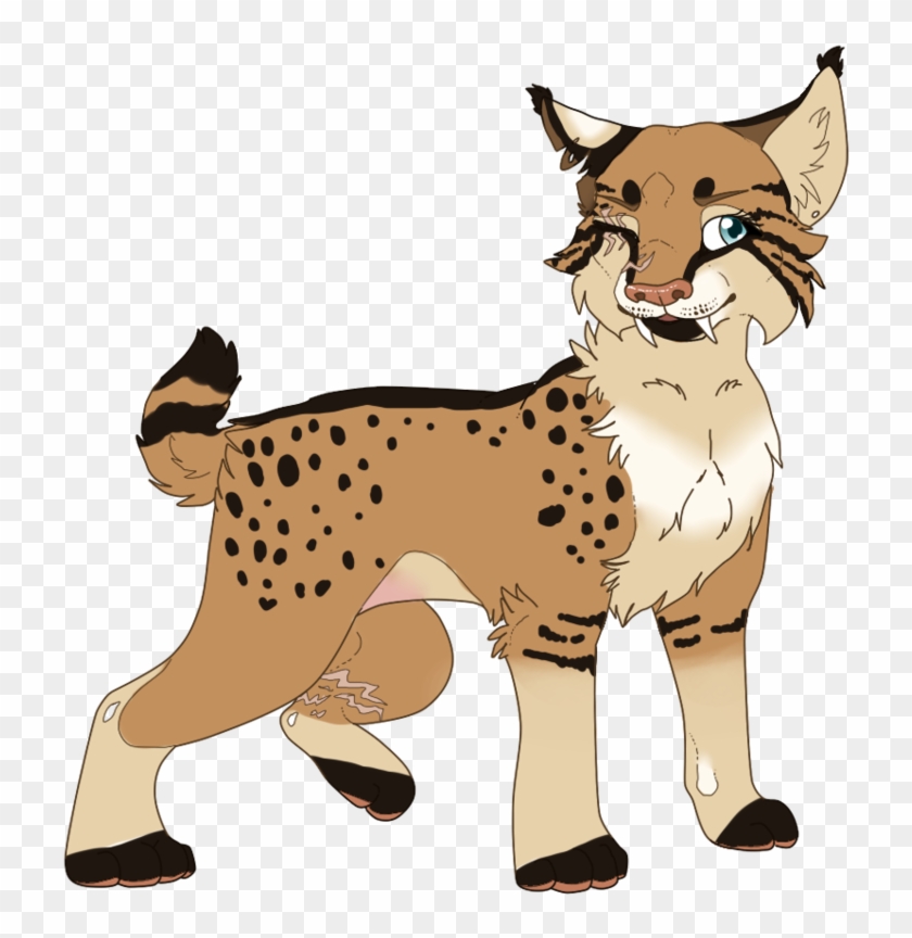 Daggerpaw Is A Large She Cat - Anime Bobcat #1692301