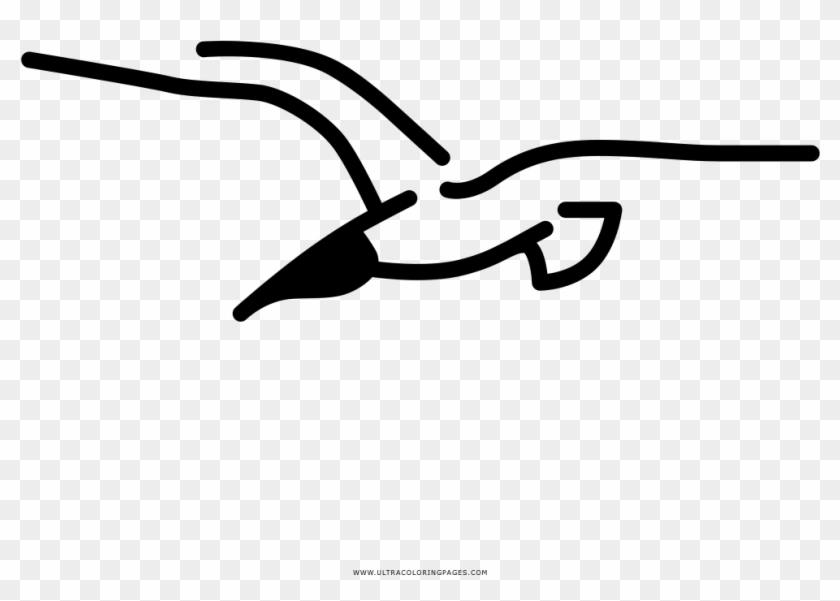 Seagull Coloring Page - Seagull Coloring Page #1692357