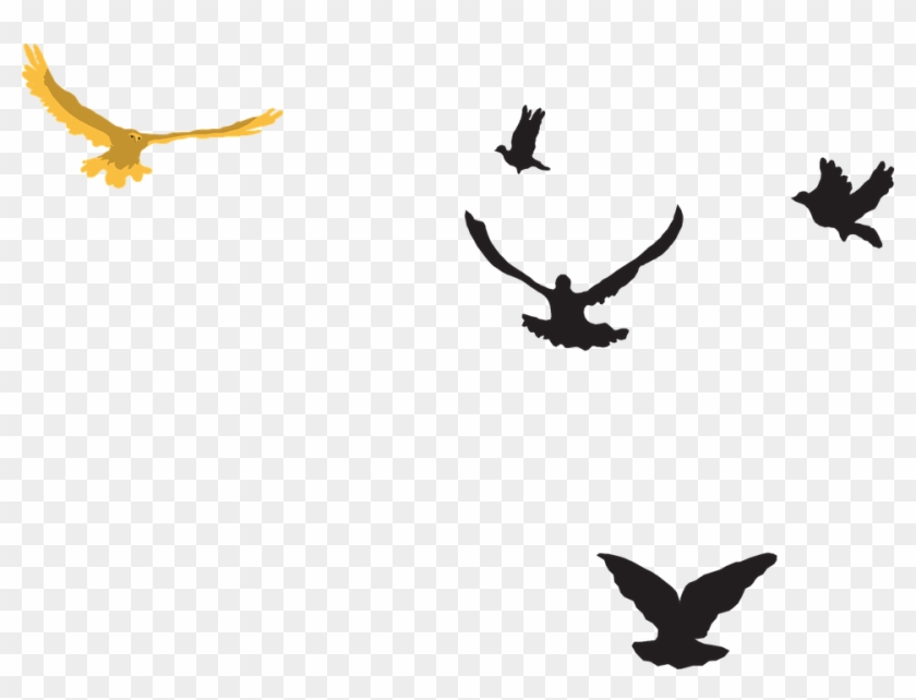 Yellow Black Birds - Birds On The Sky Png #1692362