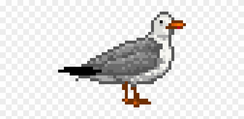 Seagull - Penguin #1692372